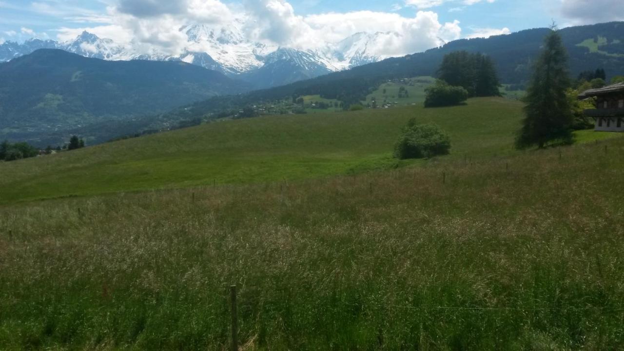 Rez De Chaussee Tres Calme Vue Mont-Blanc Combloux Pokój zdjęcie